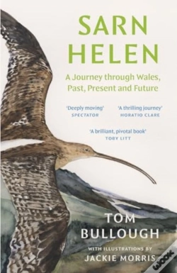 Capa do artigo Sarn Helen