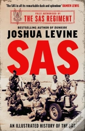 Capa do artigo Sas