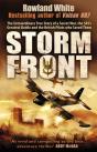 Sas: Storm Front - Preview
