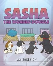 Sasha The Wonder Doodle