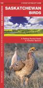 Saskatchewan Birds - Preview
