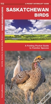 Capa do artigo Saskatchewan Birds