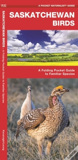 Capa do artigo Saskatchewan Birds