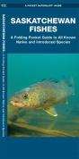 Saskatchewan Fishes - Preview