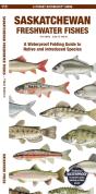 Saskatchewan Freshwater Fishes, 3rd Ed - Preview