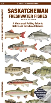 Saskatchewan Freshwater Fishes, 3rd Ed