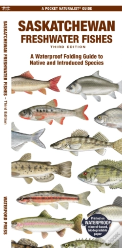 Capa do artigo Saskatchewan Freshwater Fishes, 3rd Ed