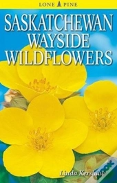 Saskatchewan Wayside Wildflowers