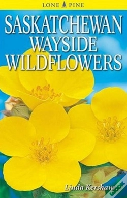 Capa do artigo Saskatchewan Wayside Wildflowers