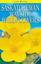 Capa do artigo Saskatchewan Wayside Wildflowers