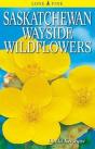Saskatchewan Wayside Wildflowers - Preview