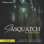 Sasquatch - Preview