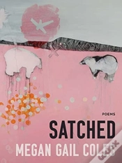 Capa do artigo Satched