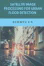 Satellite Image Processing For Urban Flood Detection - Preview