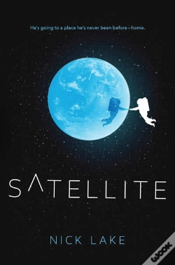 Capa do artigo Satellite