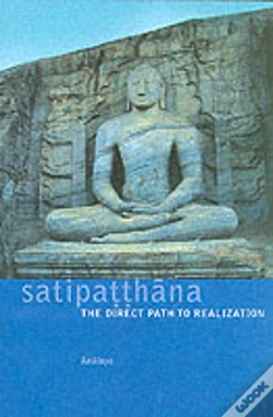 Capa do artigo Satipatthana