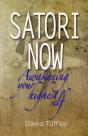 Satori Now: Awakening Your Highest Self - Preview