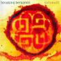 Saturate - CD - Preview