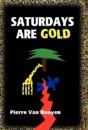 Saturdays Are Gold - Preview