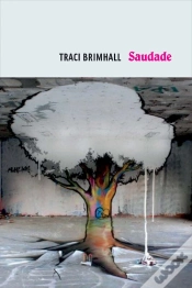 Capa do artigo Saudade