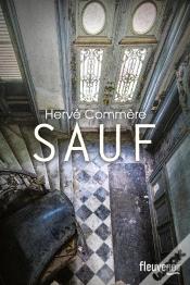 Capa do artigo Sauf