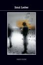 Saul Leiter - Preview