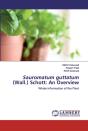 Sauromatum Guttatum (Wall.) Schott - Preview
