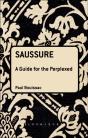 Saussure: A Guide For The Perplexed - Preview