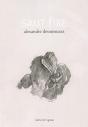 Saut Fixe - Preview
