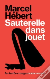 Capa do artigo Sauterelle Dans Jouet