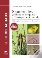 Sauterelles, Grillons Et Criquets D'Europe Occidentale. 164 Especes Decrites Et Illustrees