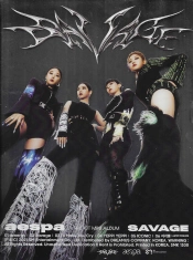 Capa do artigo Savage - CD