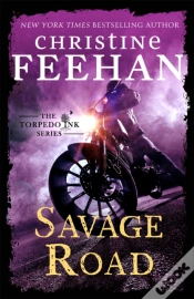 Capa do artigo Savage Road