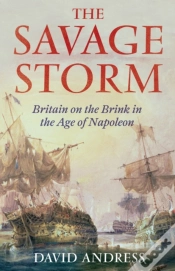 Capa do artigo Savage Storm