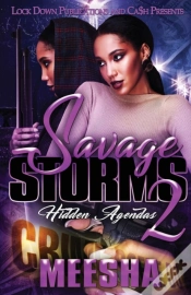 Capa do artigo Savage Storms 2
