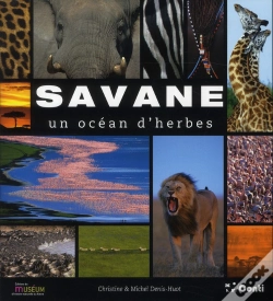 Capa do artigo Savane, Un Océan D'Herbes