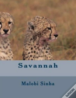 Capa do artigo Savannah