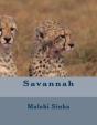 Savannah - Preview