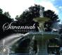 Savannah Perspectives - Preview