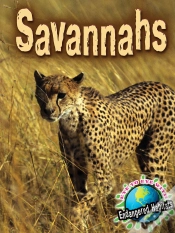 Capa do artigo Savannahs