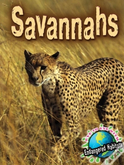 Capa do artigo Savannahs