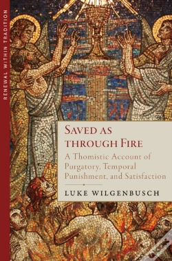Capa do artigo Saved As Through Fire
