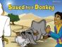 Saved By A Donkey - Preview