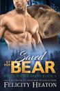 Saved By Her Bear - Preview