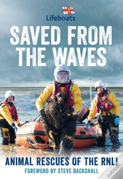 Capa do artigo Saved From The Waves