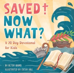 Capa do artigo Saved! Now What?