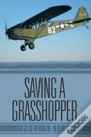 Saving A Grasshopper