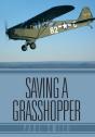 Saving A Grasshopper - Preview