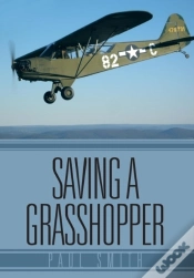Capa do artigo Saving A Grasshopper