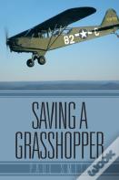 Saving A Grasshopper